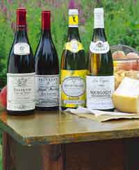 buying wine, online wine, hard to find wines